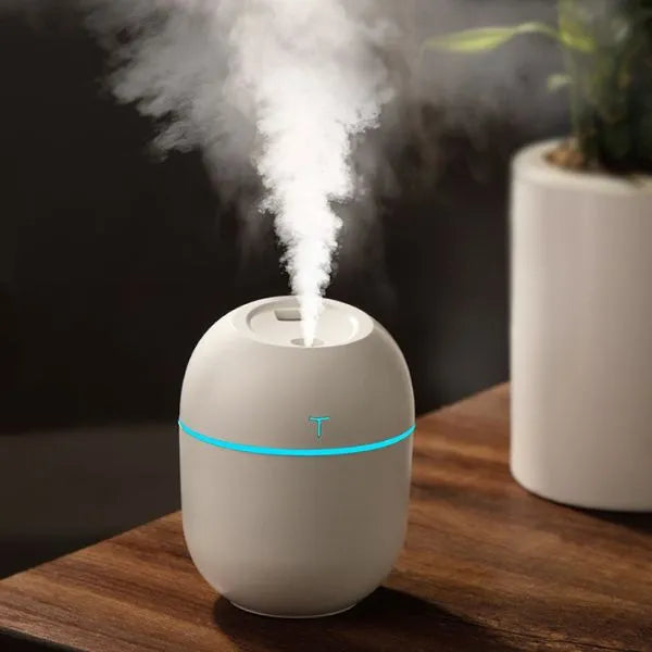 Humidifier and Aroma Diffuser